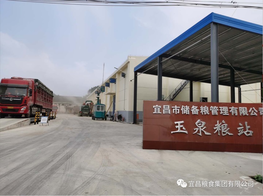 宜粮集团启动2020年小麦托市收购工作