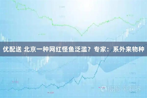 优配送 北京一种网红怪鱼泛滥？专家：系外来物种