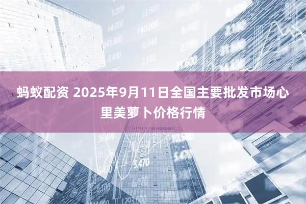 蚂蚁配资 2025年9月11日全国主要批发市场心里美萝卜价格行情
