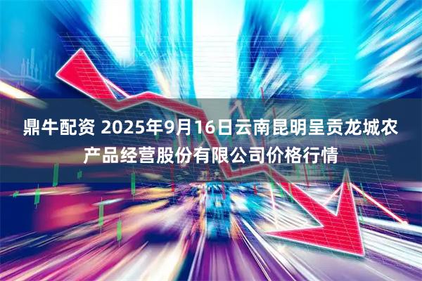 鼎牛配资 2025年9月16日云南昆明呈贡龙城农产品经营股份有限公司价格行情