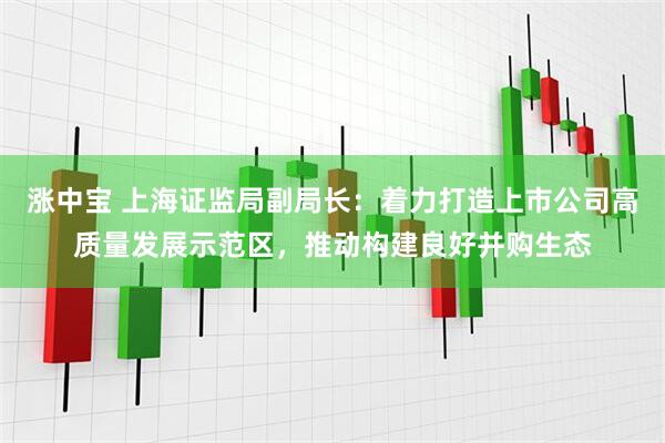 涨中宝 上海证监局副局长：着力打造上市公司高质量发展示范区，推动构建良好并购生态