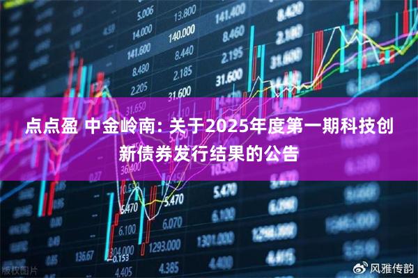 点点盈 中金岭南: 关于2025年度第一期科技创新债券发行结果的公告