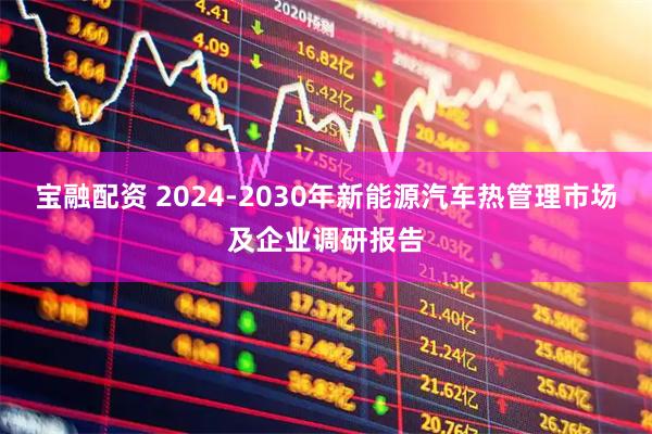 宝融配资 2024-2030年新能源汽车热管理市场及企业调研报告