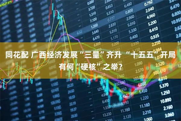 同花配 广西经济发展“三量”齐升 “十五五”开局有何“硬核”之举？