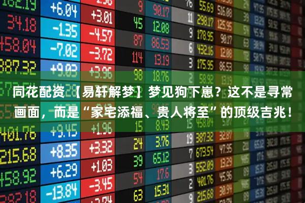 同花配资 【易轩解梦】梦见狗下崽？这不是寻常画面，而是“家宅添福、贵人将至”的顶级吉兆！