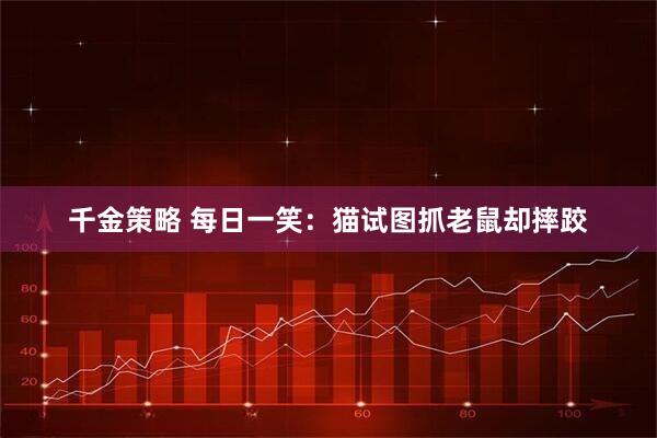 千金策略 每日一笑：猫试图抓老鼠却摔跤