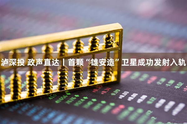 泸深投 政声直达丨首颗“雄安造”卫星成功发射入轨